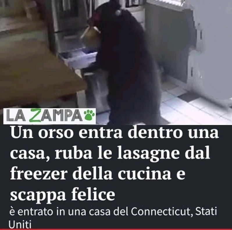 GIF caricata da Vincenzo