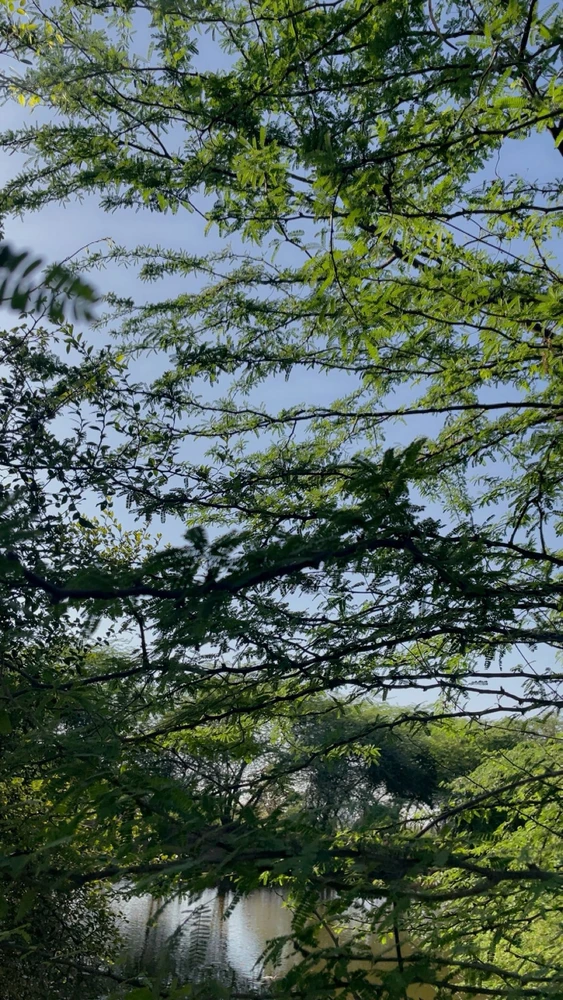 GIF uploaded by Jenny