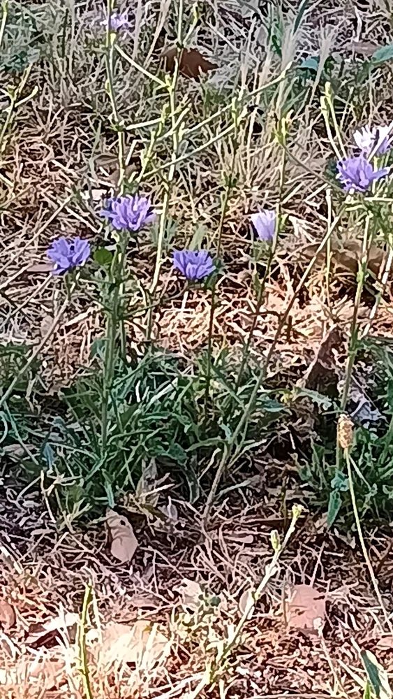 Immagine caricata da Emanuele