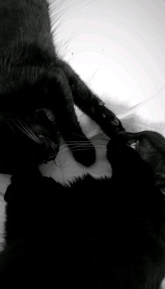 GIF caricata da Simone