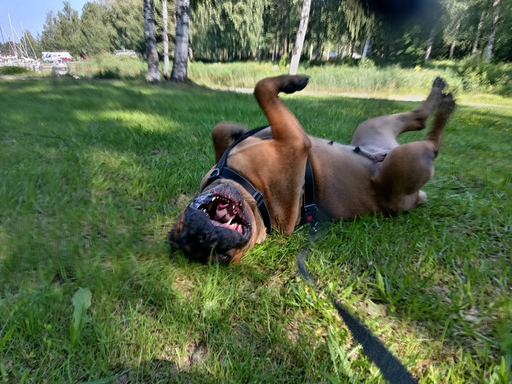 GIF uploaded by Aleks