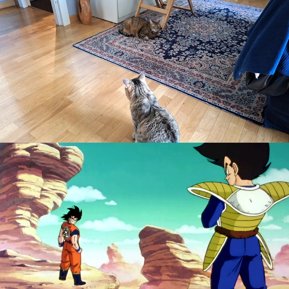 GIF caricata da Matteo