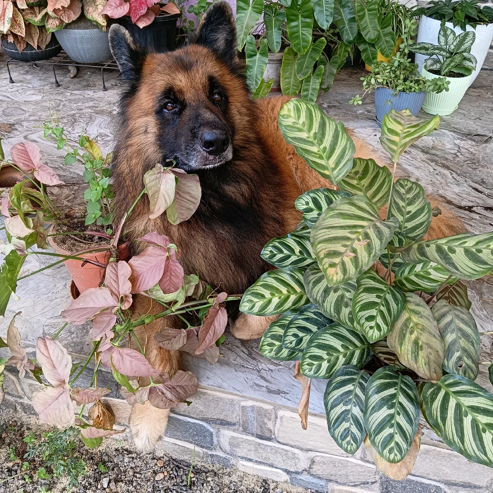 GIF uploaded by Hemanth