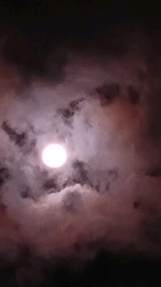 GIF enviado por Nice Andrade