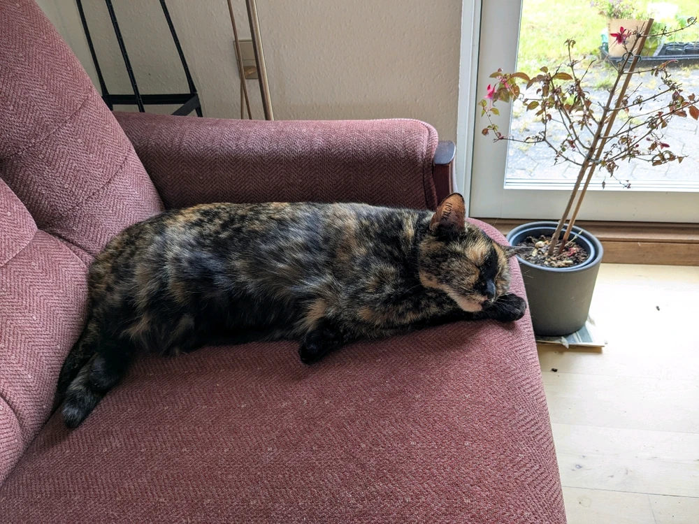 Billede uploadet af Adam