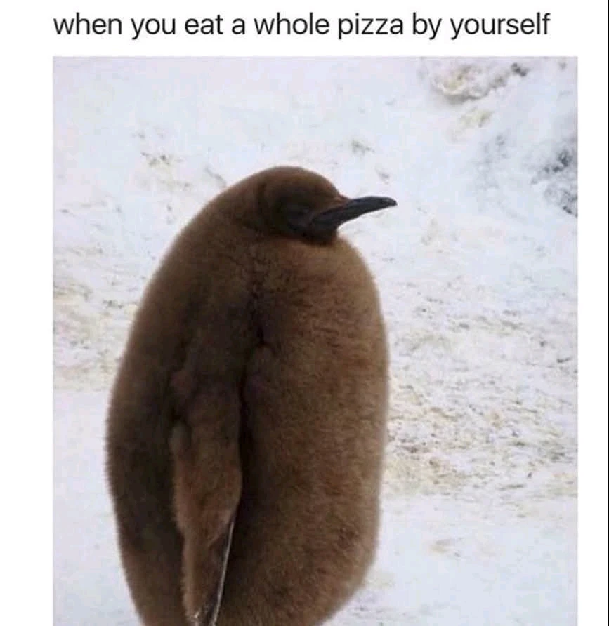 GIF-tiedoston lisäsi Sampsa