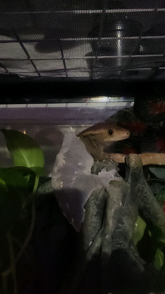 GIF uploaded by Caisey