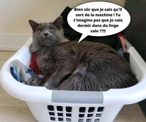 GIF ajouté par Frédérique