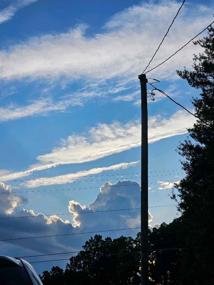 GIF uploaded by Tara