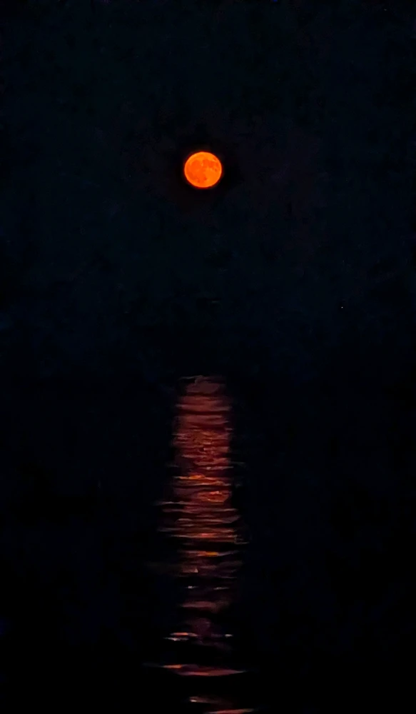 Image uploaded by Dana