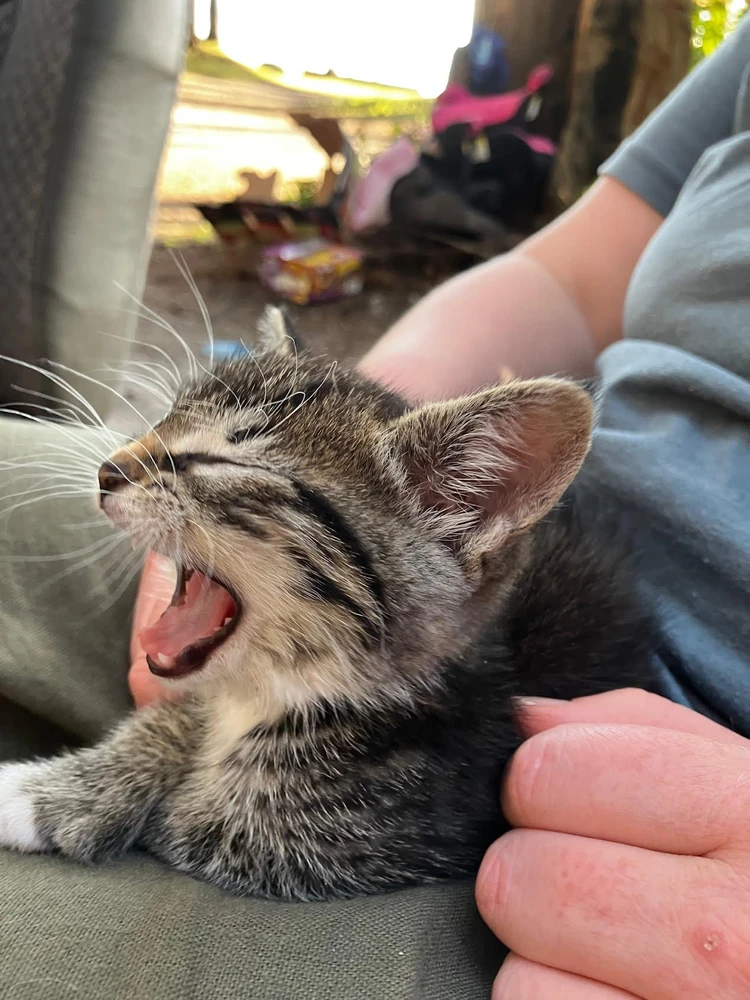 Image uploaded by Mathew