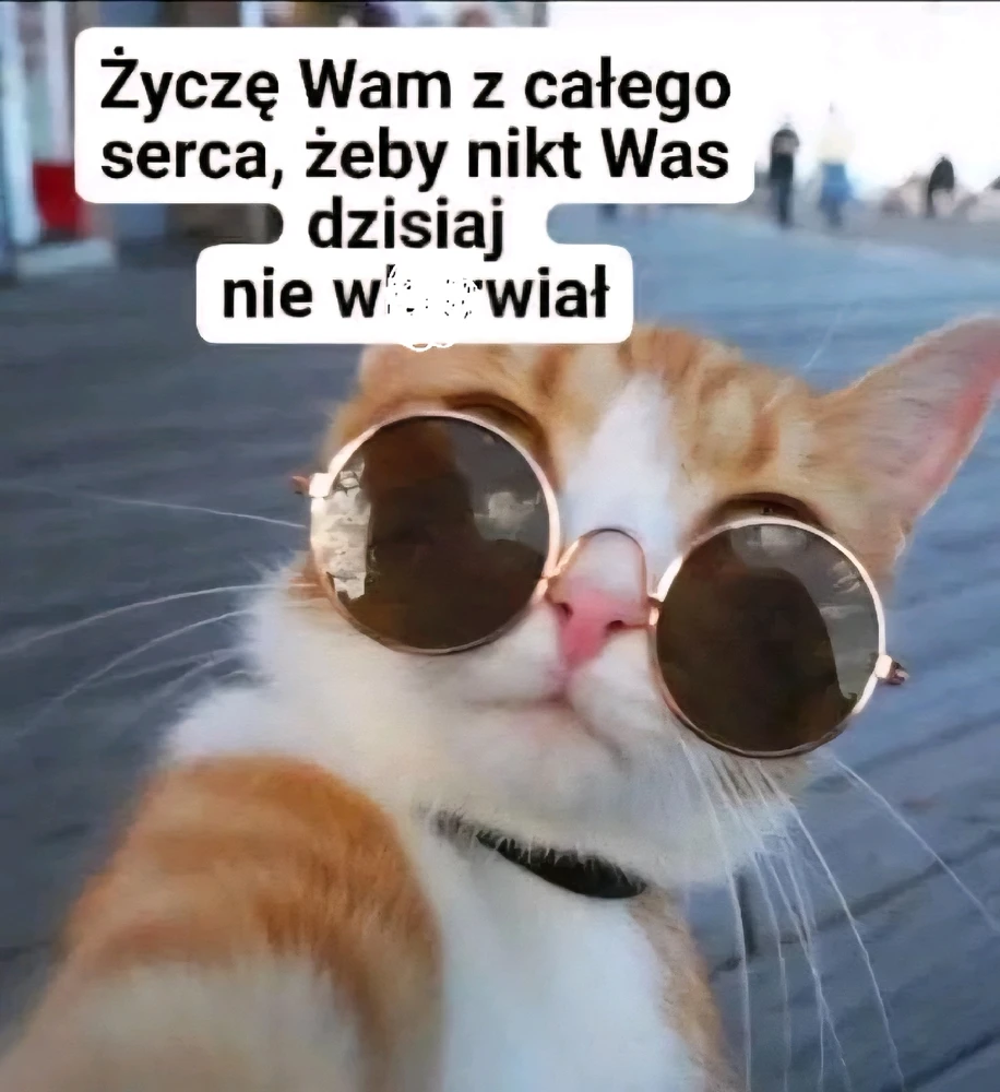 GIF dodany przez Stella