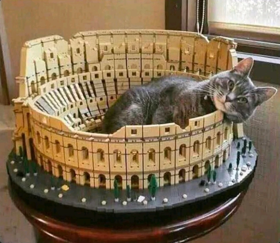 GIF hochgeladen von Doris