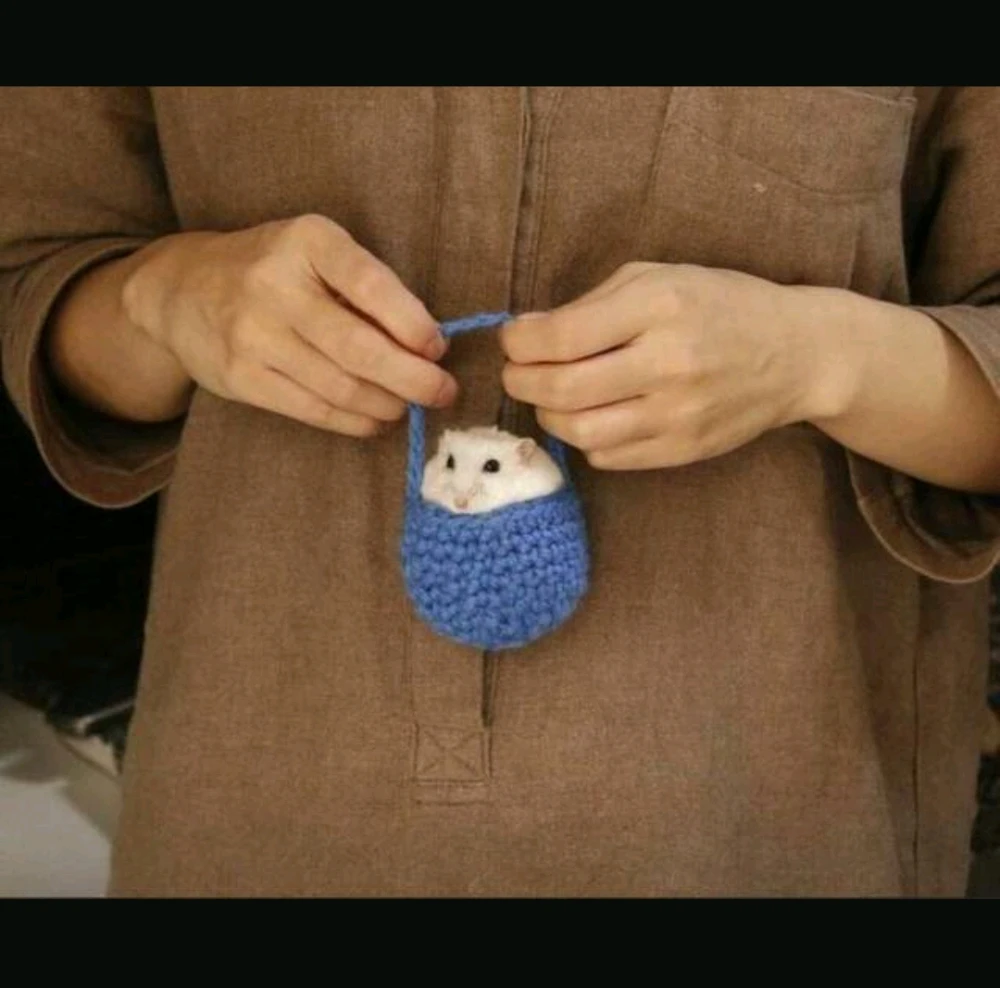 GIF hochgeladen von Philip