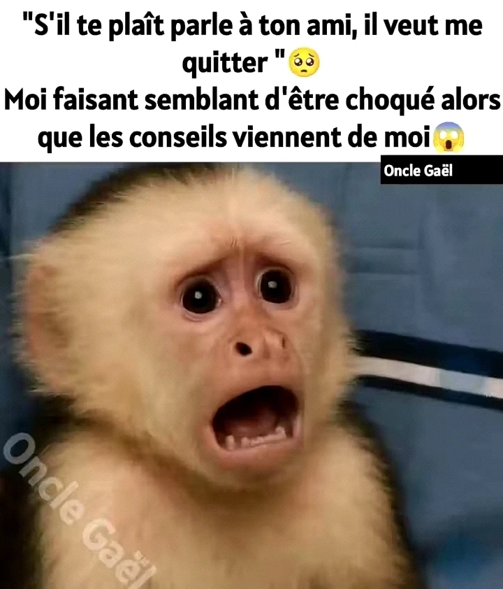 GIF ajouté par Losseny