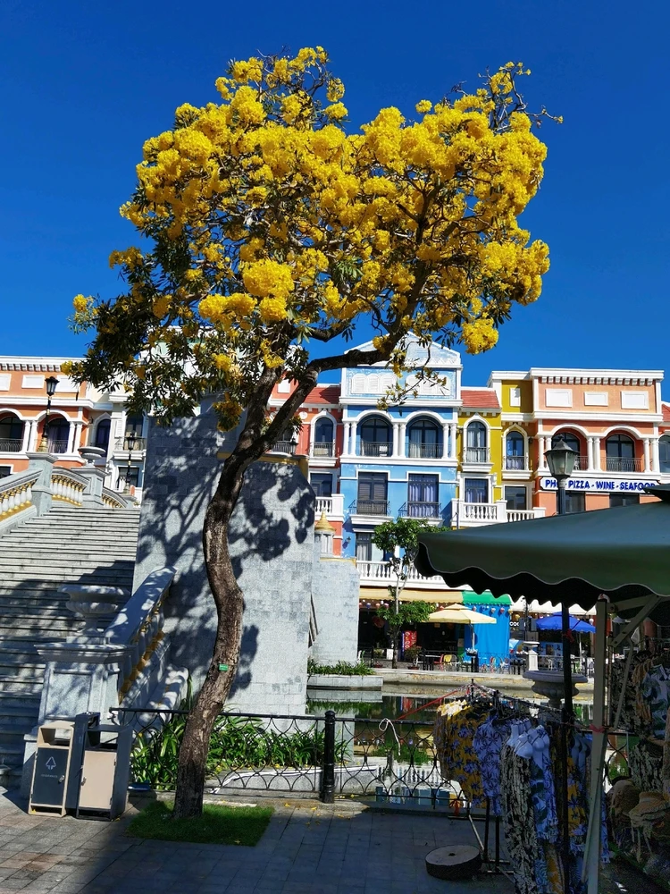 Фото загрузил Dima