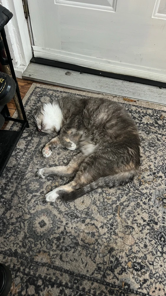 GIF uploaded by Andy