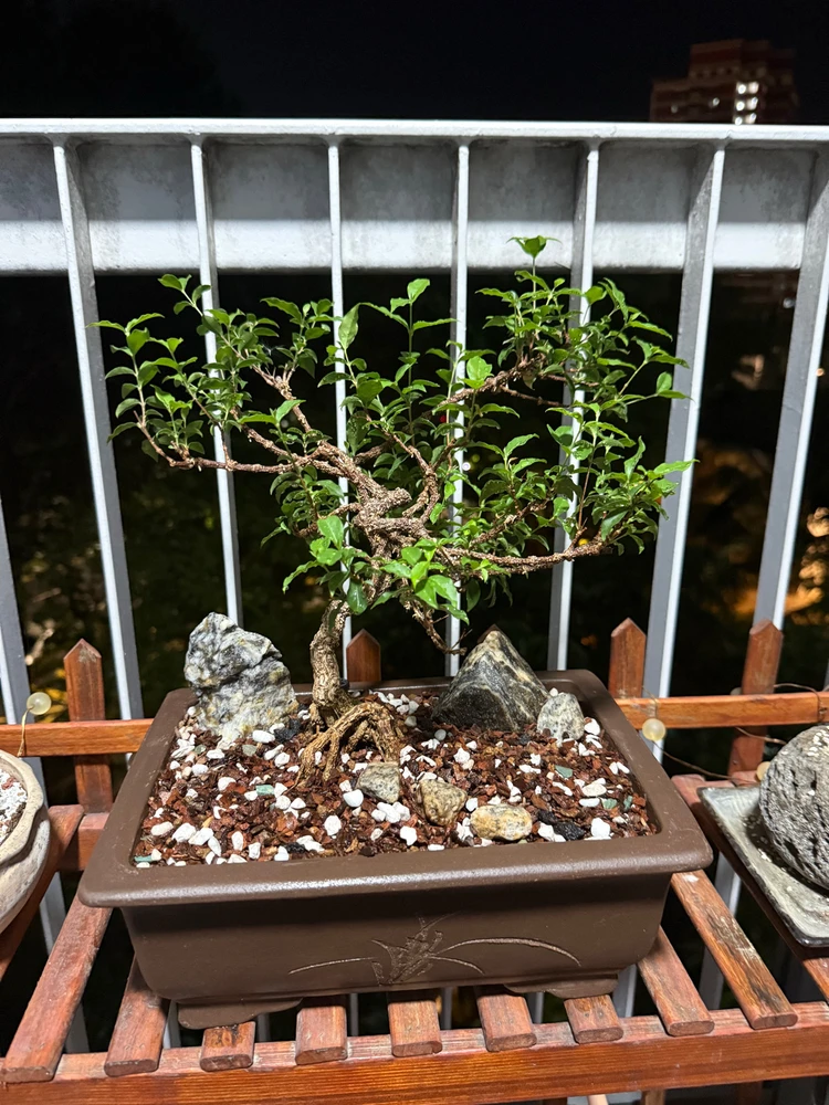 GIF diunggah dening Nana