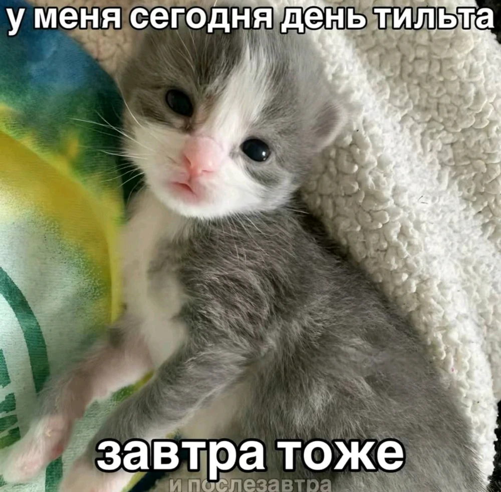 Фото загрузил Елизавета