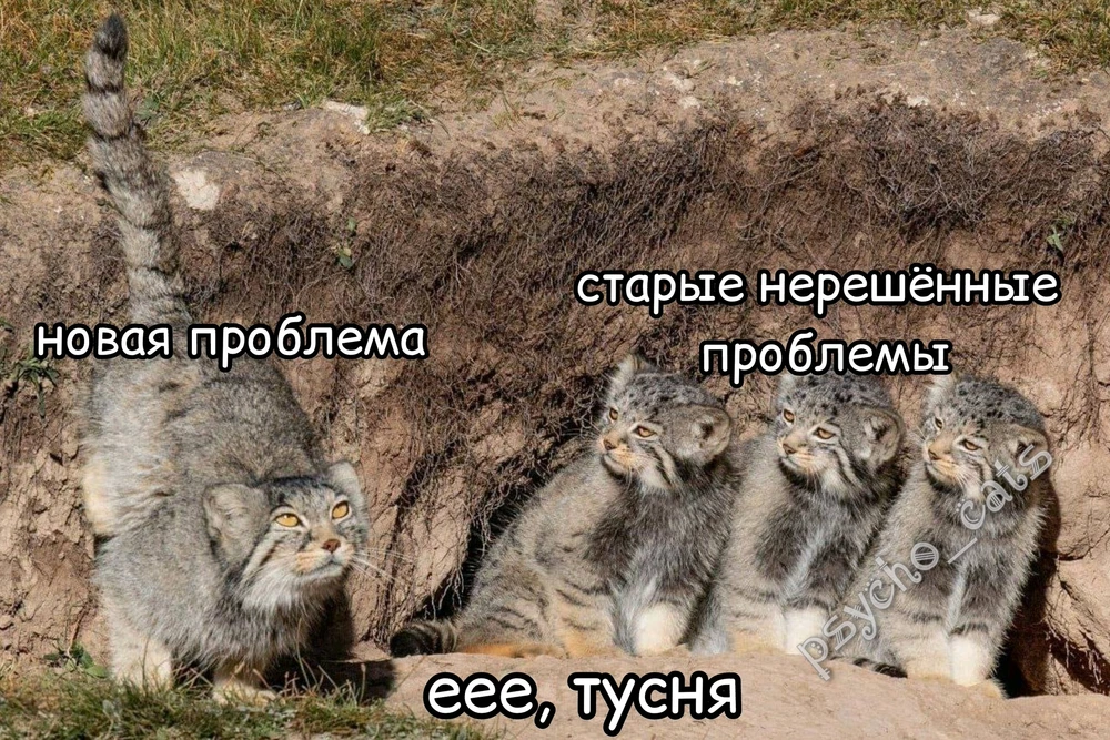 Фото загрузил Елизавета