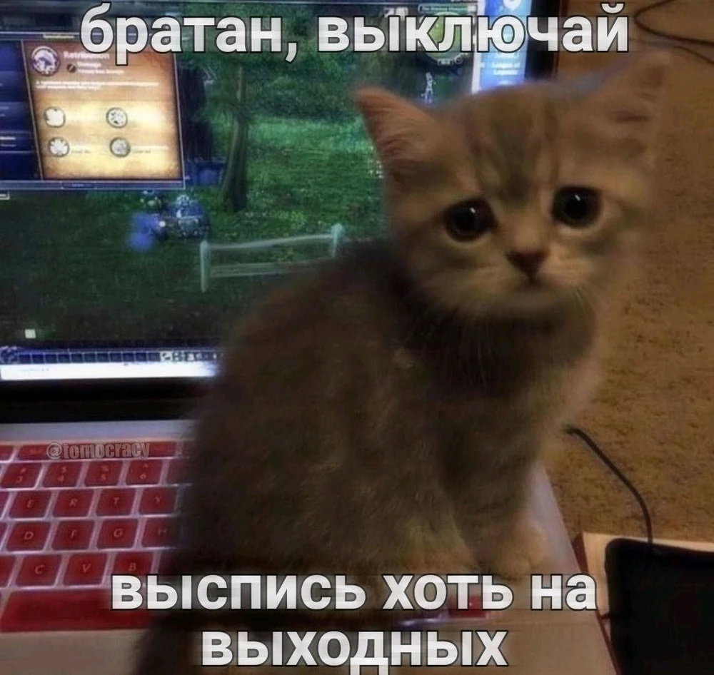 Фото загрузил Елизавета