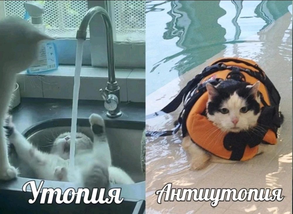 Фото загрузил Елизавета