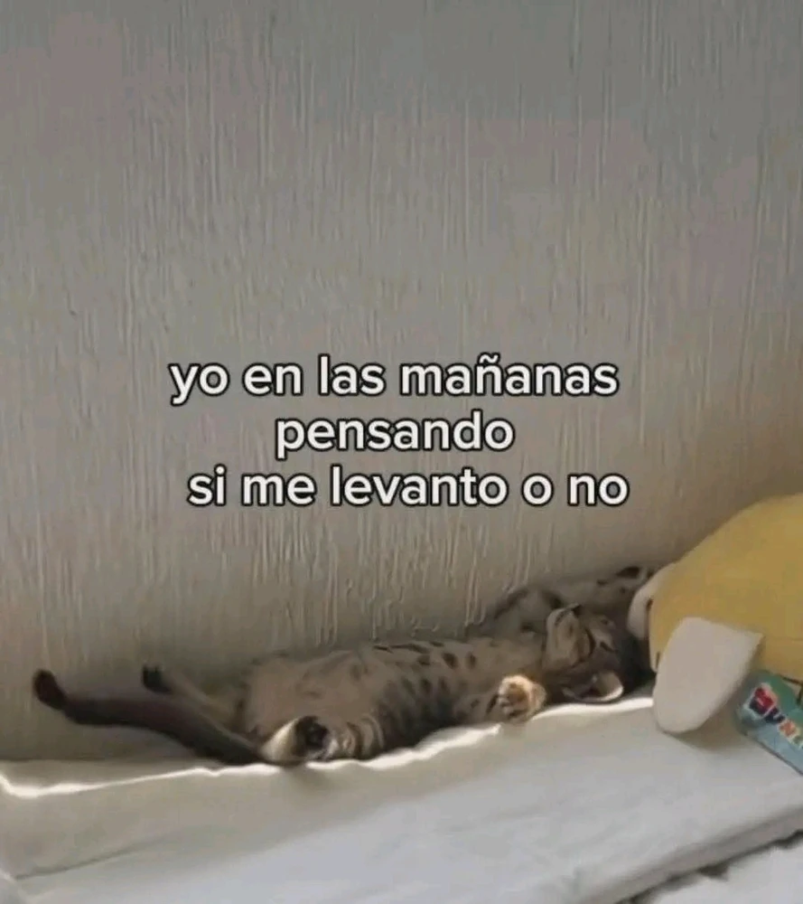 GIF subido por ❤ Sophia aka Mango Mami ❤️