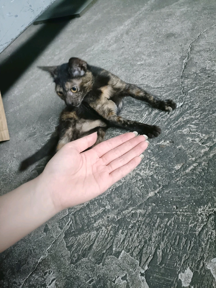 Ảnh do Tuệ Mẫn tải lên