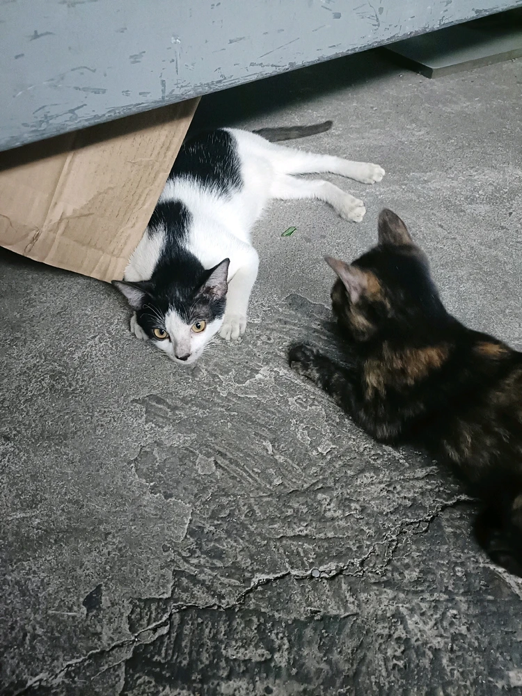 Ảnh do Tuệ Mẫn tải lên