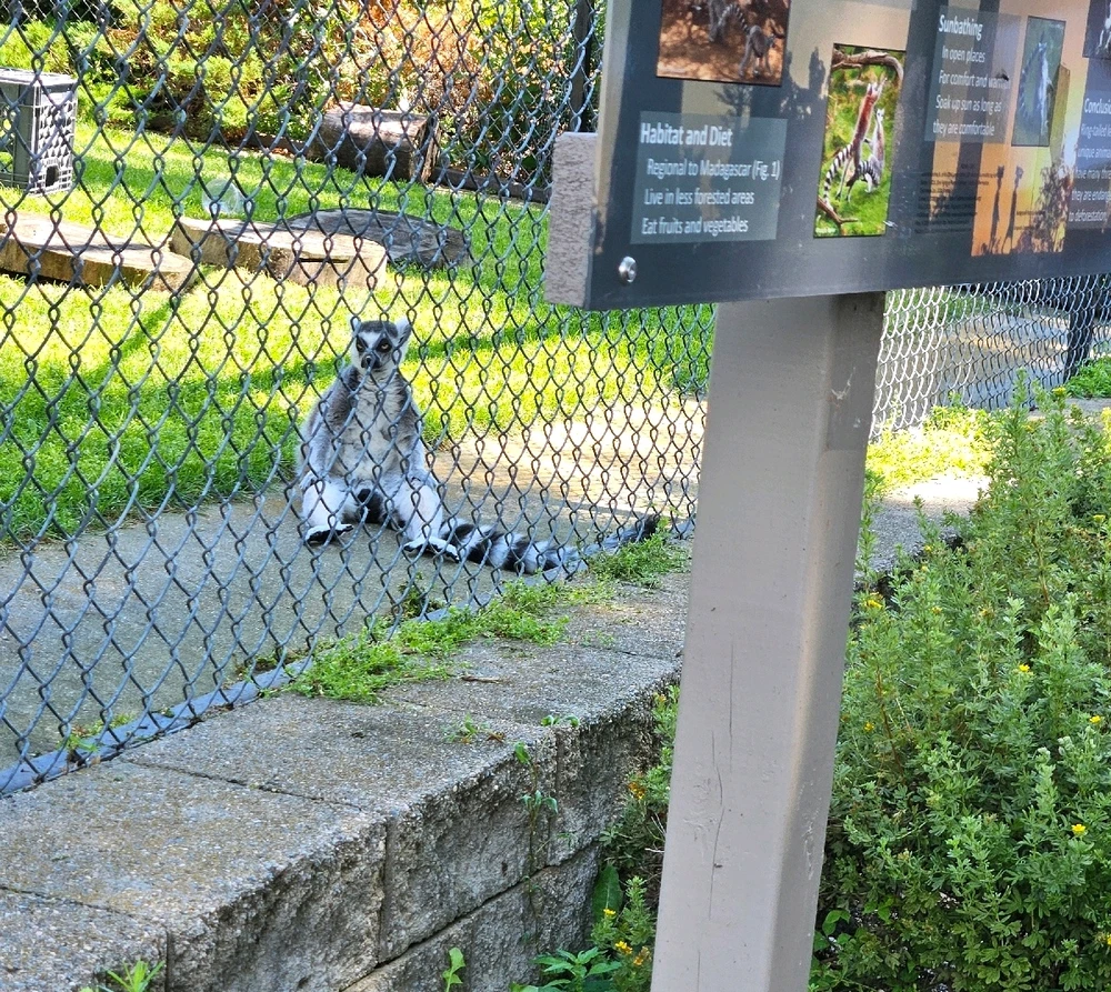 Image uploaded by jess