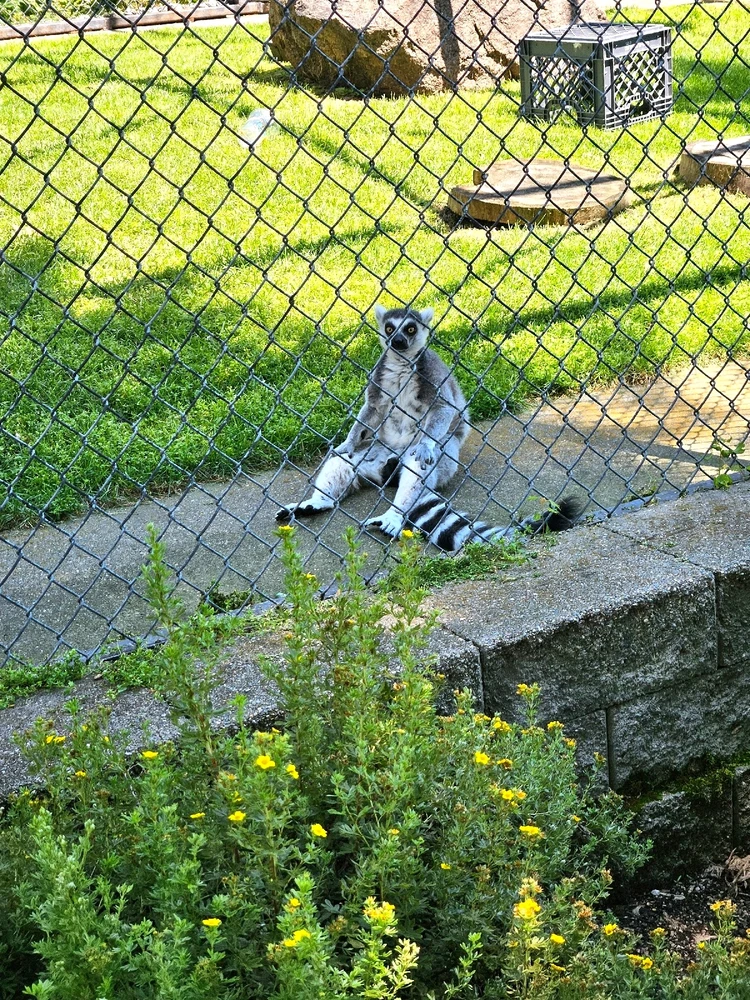 Image uploaded by jess