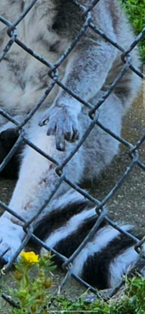 Image uploaded by jess