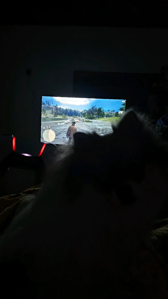 GIF enviado por Vini Pfeiffer