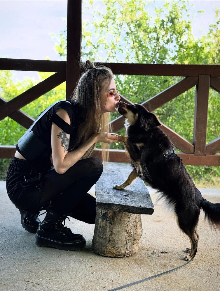 Pies lękowy/reaktywny