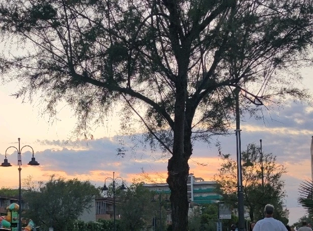 GIF caricata da Ludovica