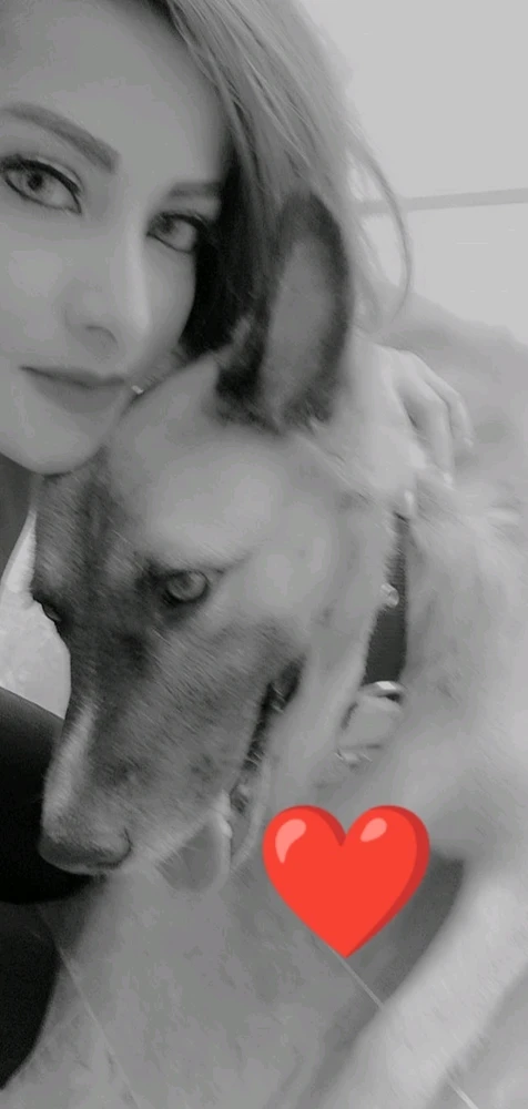 GIF uploaded by Sarah