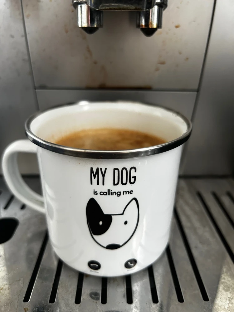 Zdjęcie dodane przez Maciek