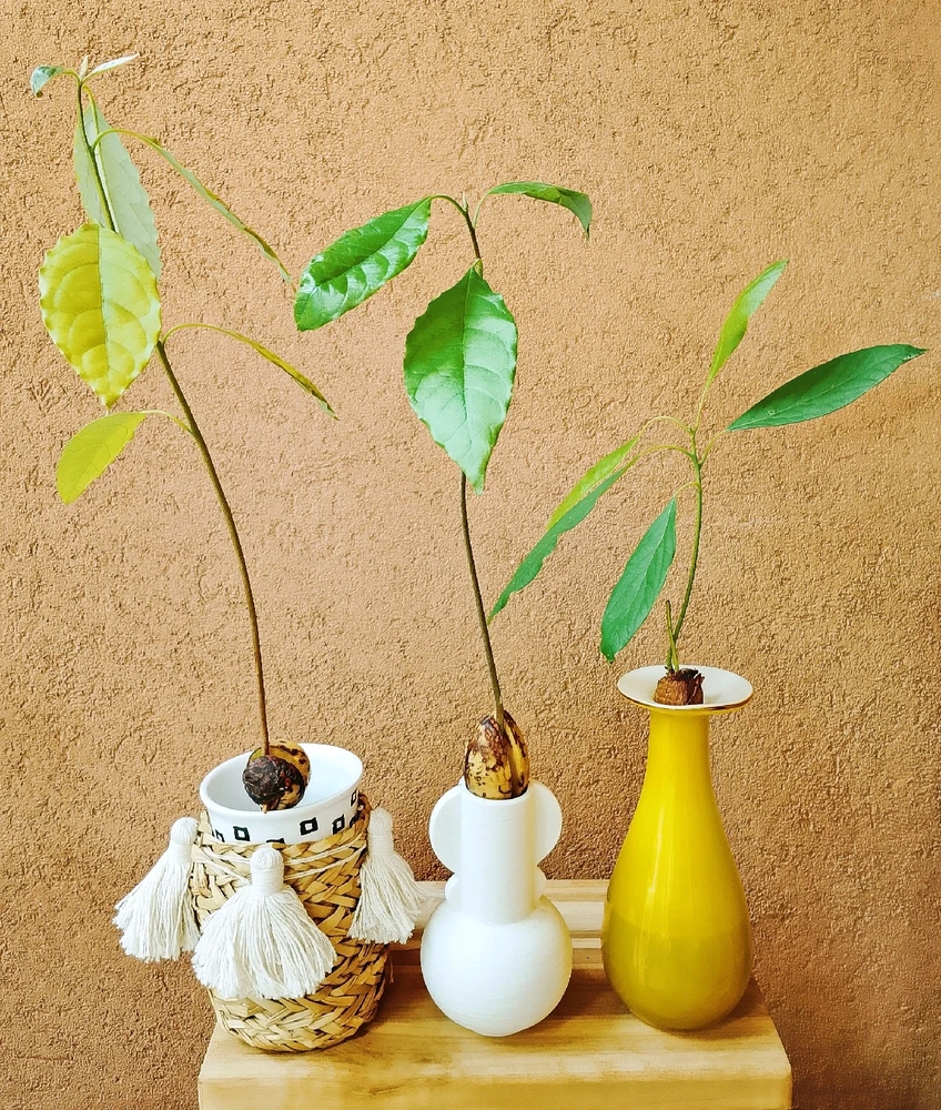 GIF caricata da Dαηιℓσ