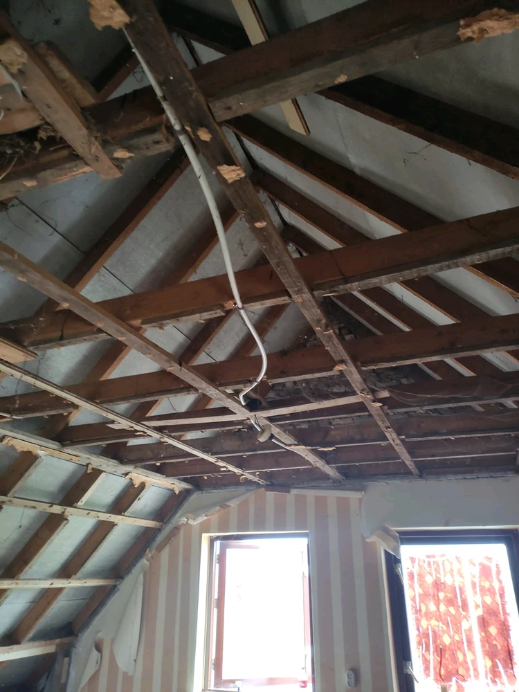 Afbeelding geüpload door Cornelius