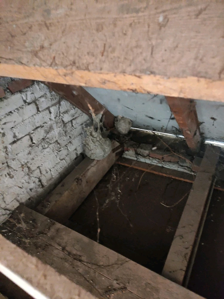 Afbeelding geüpload door Cornelius