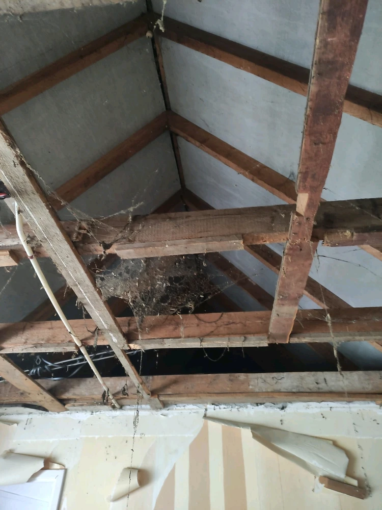 Afbeelding geüpload door Cornelius