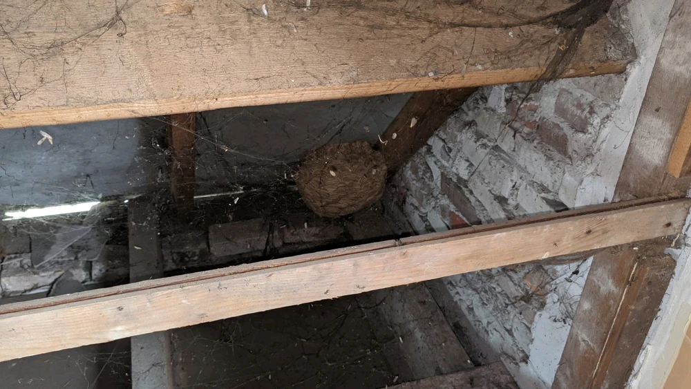 Afbeelding geüpload door Cornelius