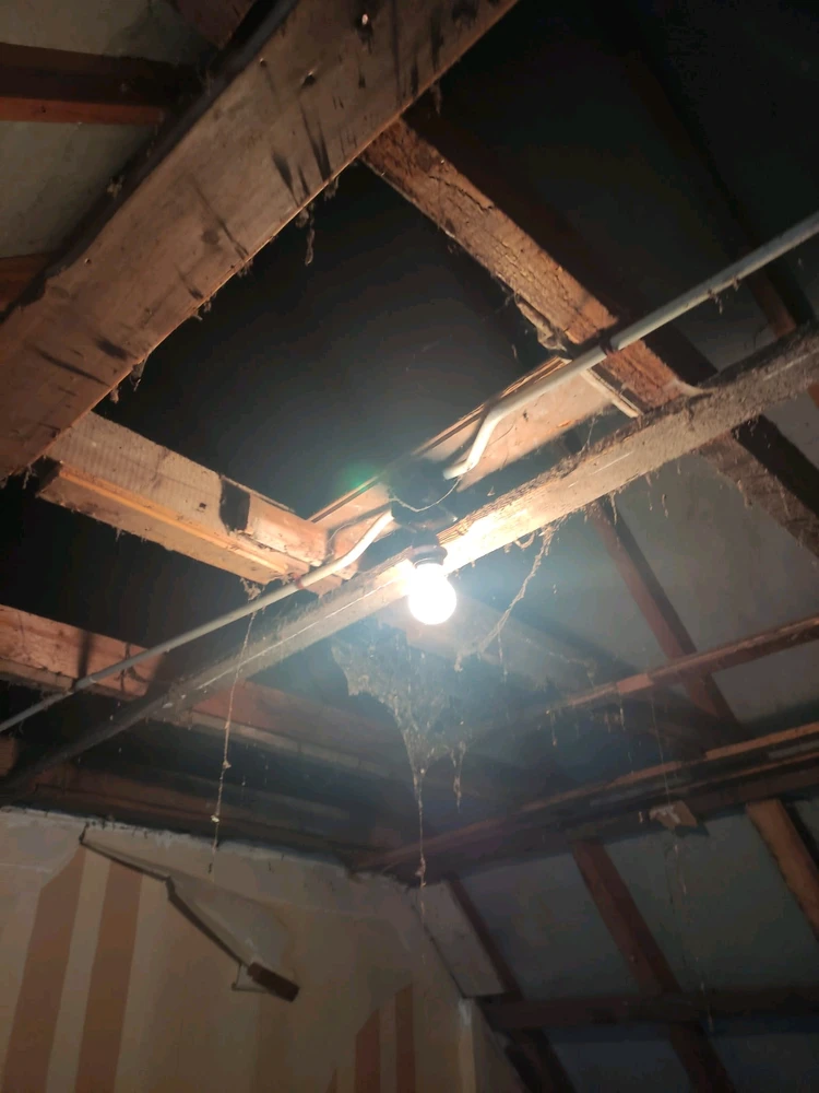 Afbeelding geüpload door Cornelius