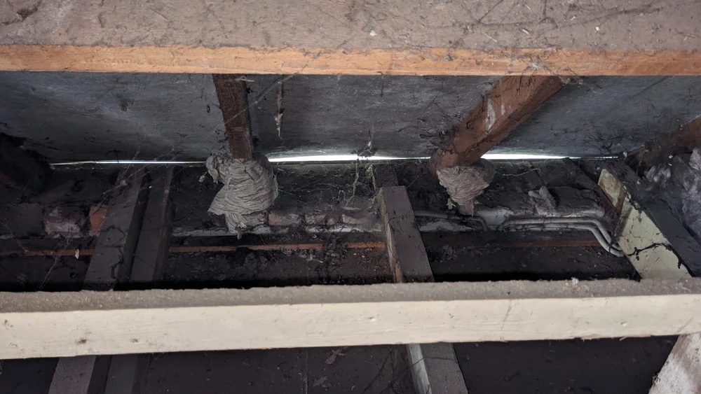 Afbeelding geüpload door Cornelius