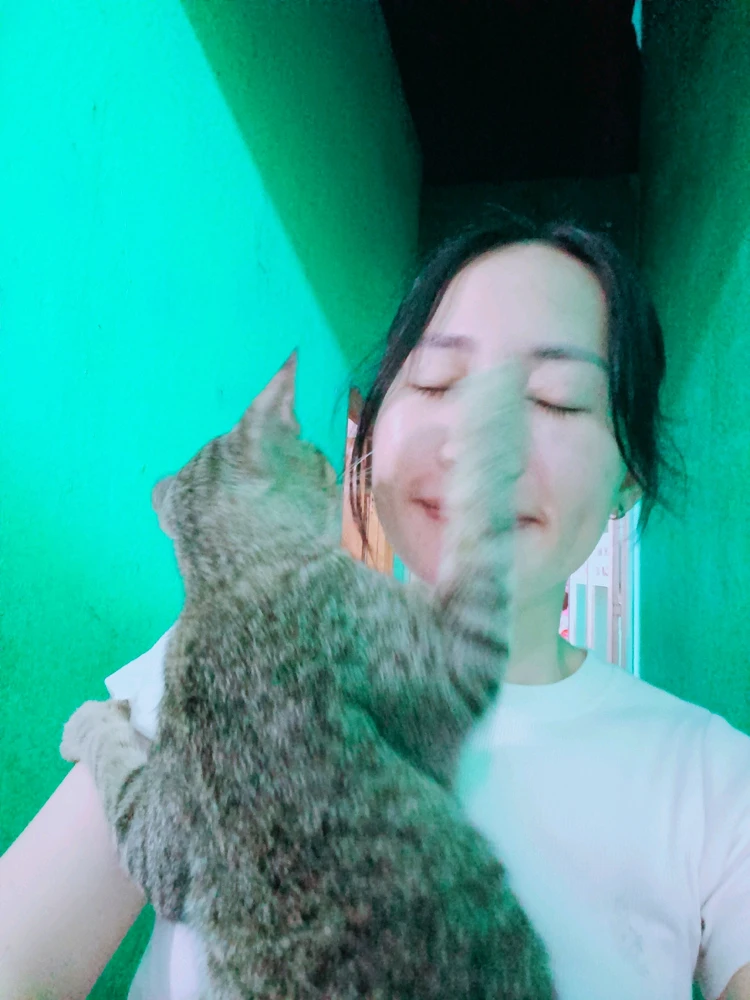 Ảnh do Tuệ Mẫn tải lên