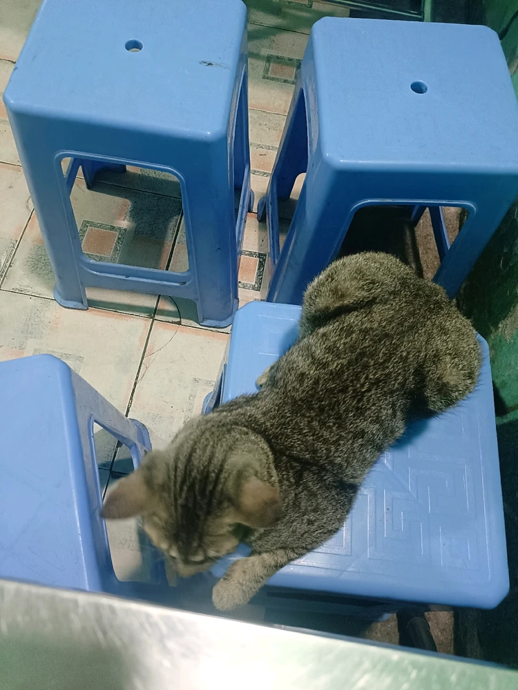 Ảnh do Tuệ Mẫn tải lên