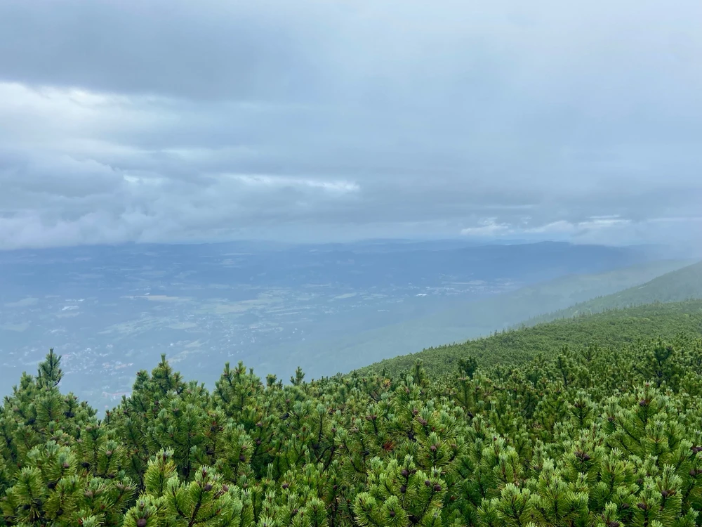Zdjęcie dodane przez Adrian