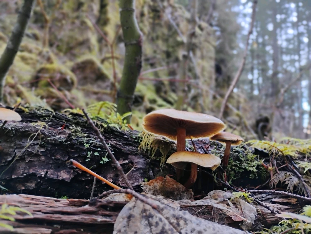 GIF uploaded by Haze