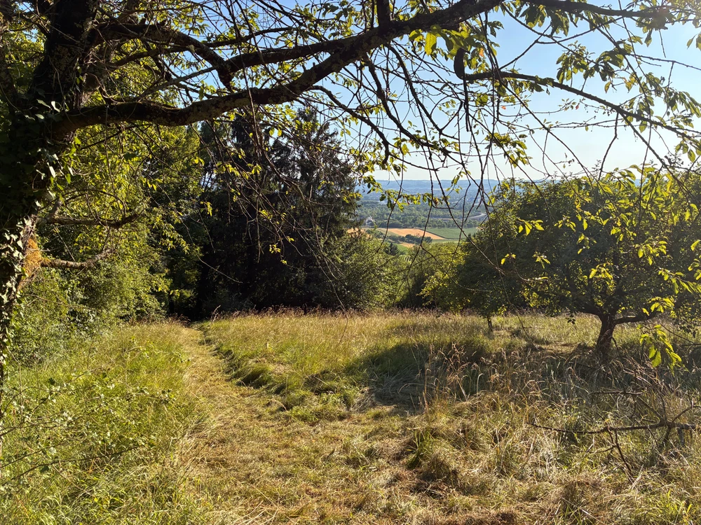 GIF hochgeladen von Tom