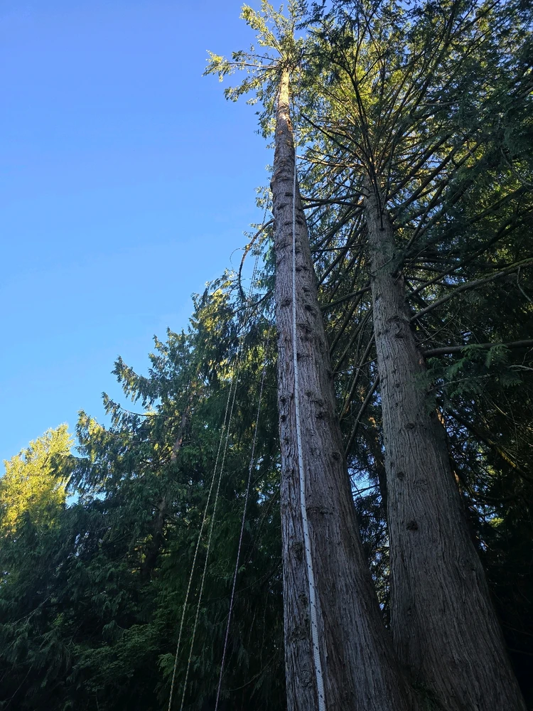 GIF uploaded by Patrick